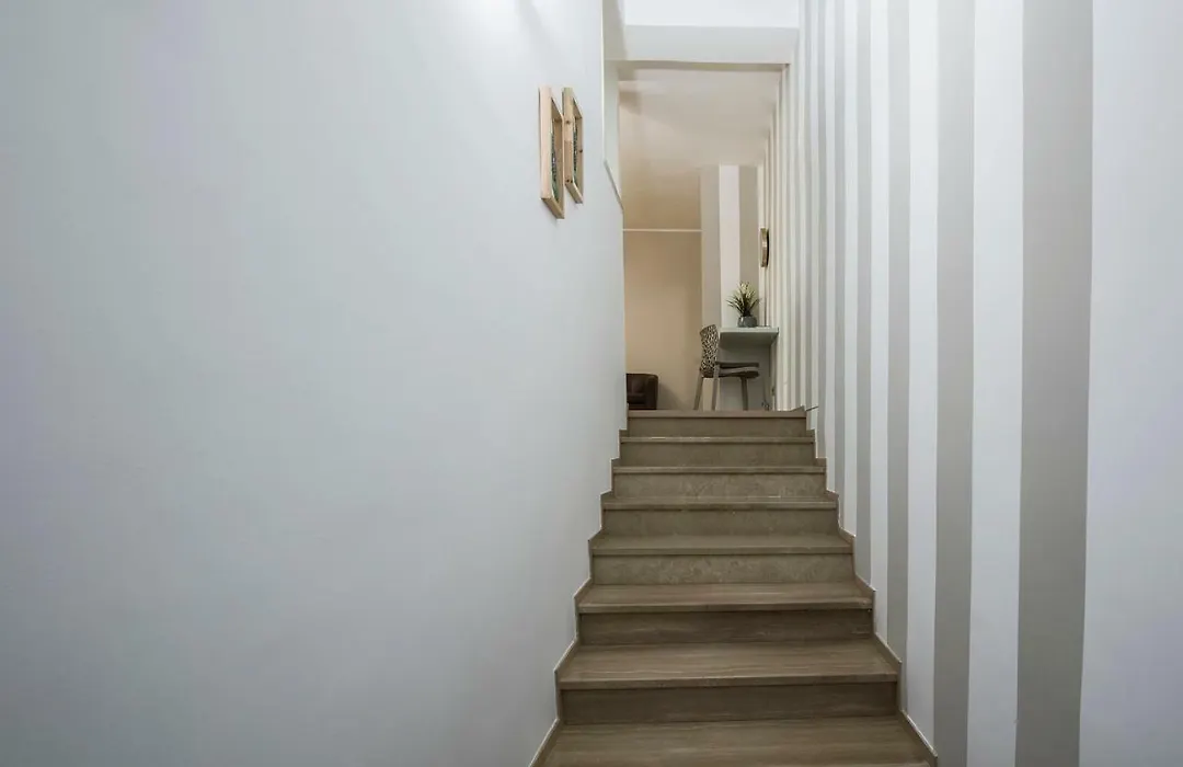 Il Guscio-1