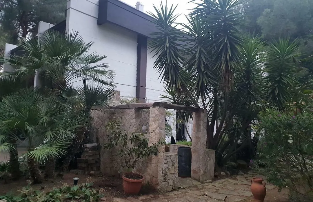 Natural Home-1