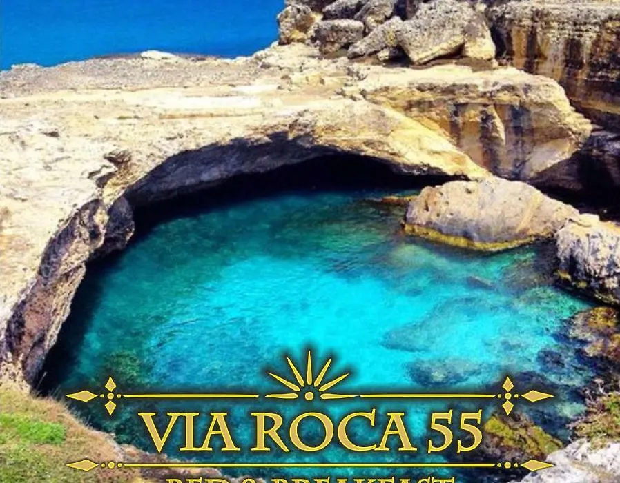 Via Roca 55-1