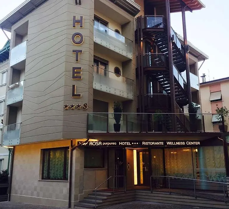 Hotel Rosa Purpurea - Valdagno-1