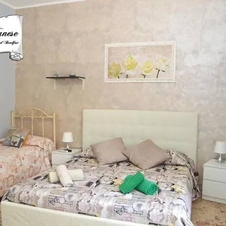 B&B Tanese-2