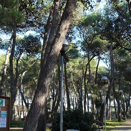 La Pigna-3