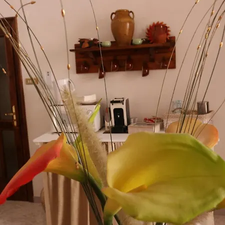 Casa Antica-2