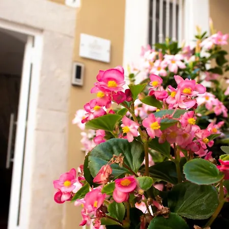 Il Cortile degli Ulivi-3