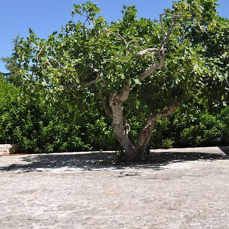 B&B Villa Rosanna-3