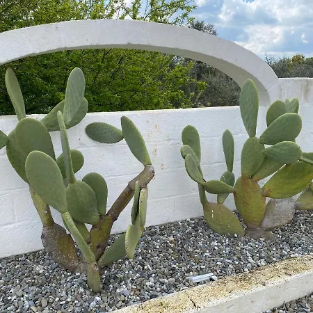 Trulli Tesoro-3