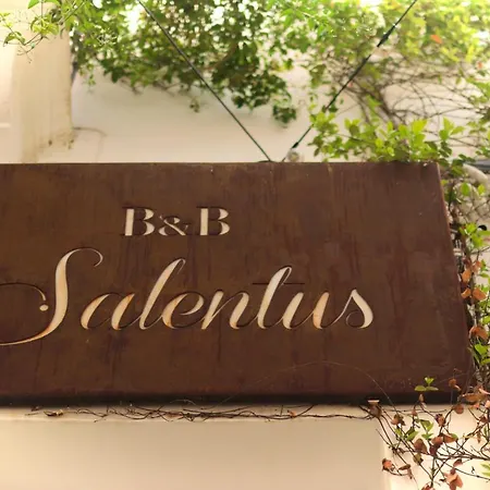 B&B Salentus-2
