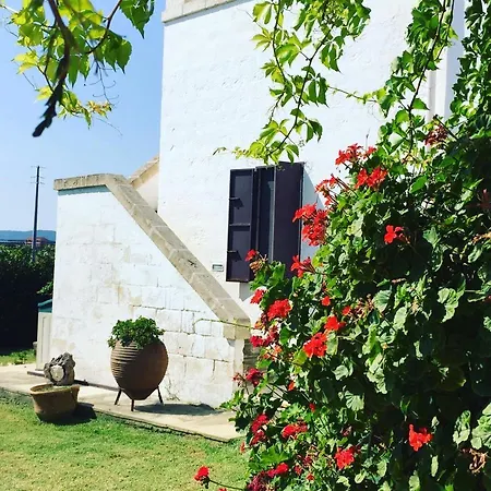 B&B Donnamarta-3
