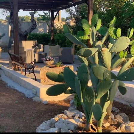 B&b Masseria Nova-2