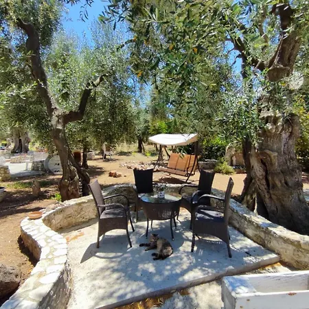 Villa Rosy-3