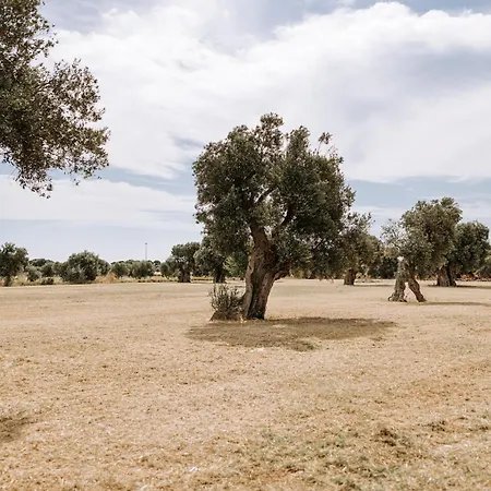 Masseria Garrappa-2