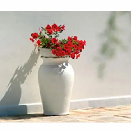 Room In Bb - Ancient Masseria Near The Sea In A Quiet Olive Trees Elegant And Familiary Ambi-3