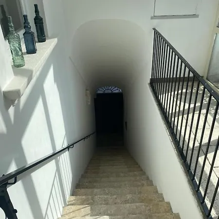 Nova Domus-3