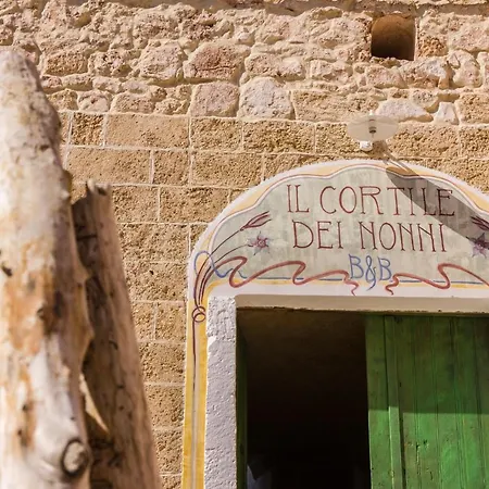 Il Cortile dei Nonni-2