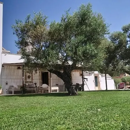 Trulli Apulia- Valle D'Itria--3
