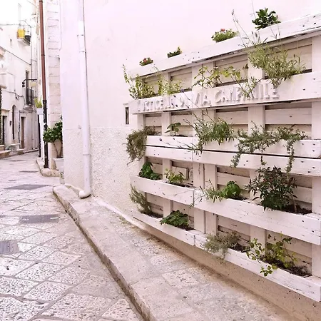 l'angolo di Gaudì, alcoba Fascinosa-2