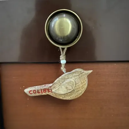 Colibri-2