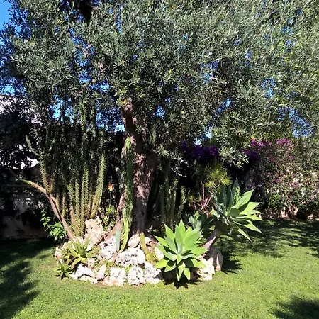 Appartamento Villa Stifano - Myho Casa-2