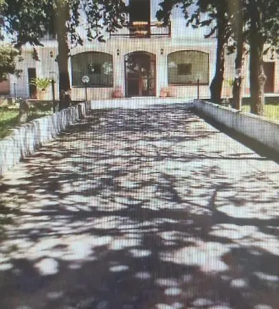 B&B Uliveto-2