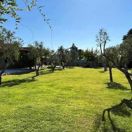 B&B Terra Cesarea-3