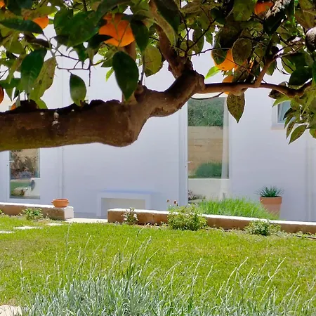 Corte Mercurio B&B-3