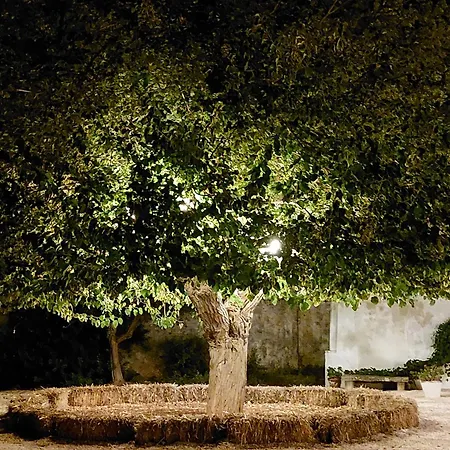 Masseria San Martino-3