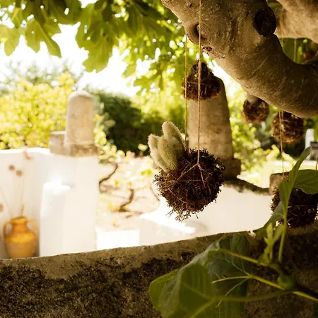 Casale alle Vigne-2