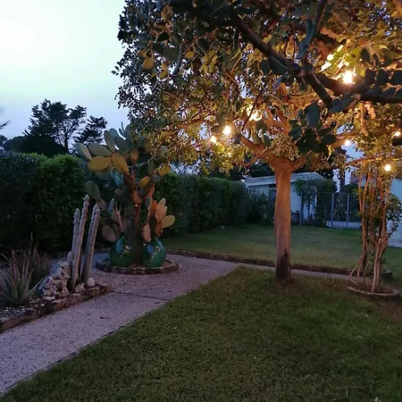 Il Giardino del Tè-2