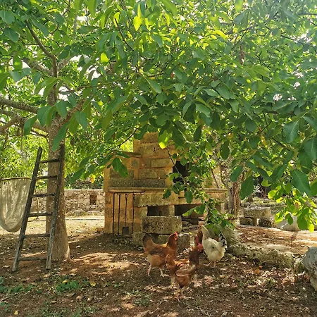B&B Borgo del Gallo-2