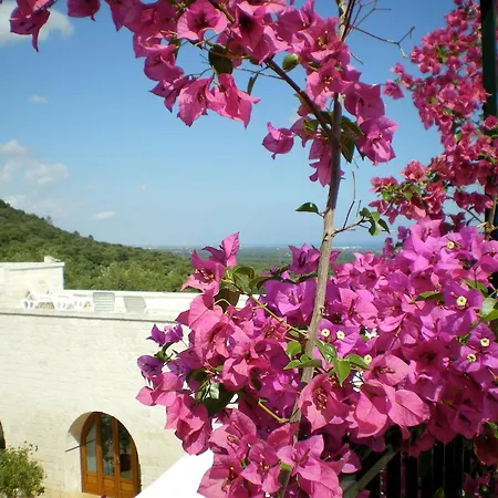 Masseria Morrone-3