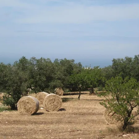 B&b Cinque Stalle-2
