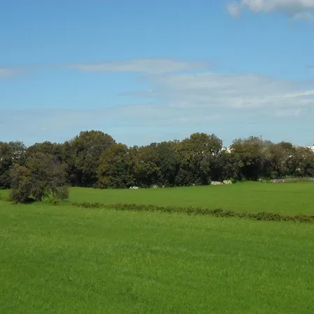 Masseria Gattamora-3