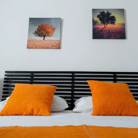 B&B Ortensia-3