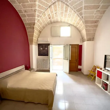 Cat'S Room-3