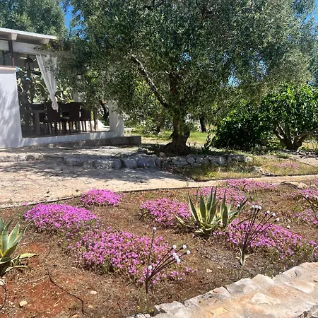 Syconium Trullo And Lamia Gea Charme And History-2