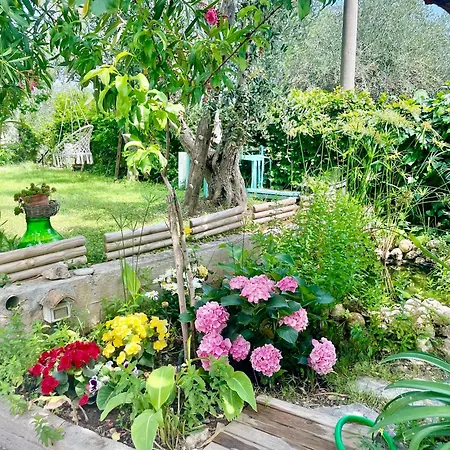 Casa Vacanza Orchidea vicino a Mattinata Gargano-2