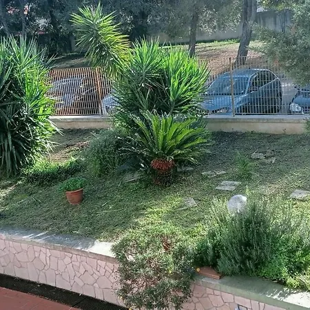 Tarantula Houses-3