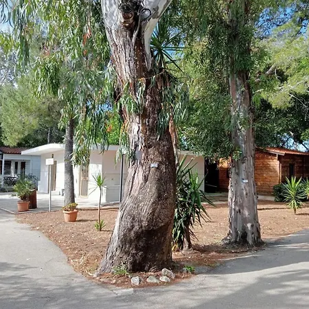 Viola Club Village & Camping-3