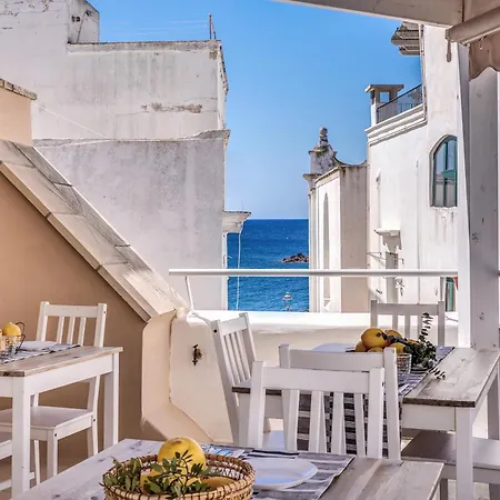 B&B Fiore-3
