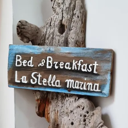B & B Stella Marina-2