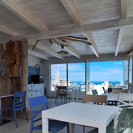 B&B Dimorangel-2