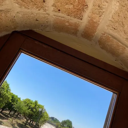 Tenuta degli Agrumi-2