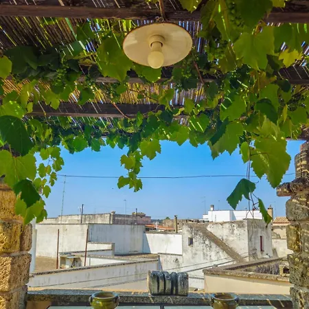 B&B Pergulea-2