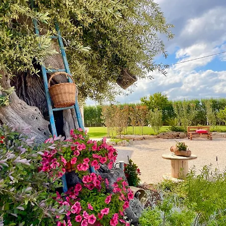 Masseria Signora Cecca-3