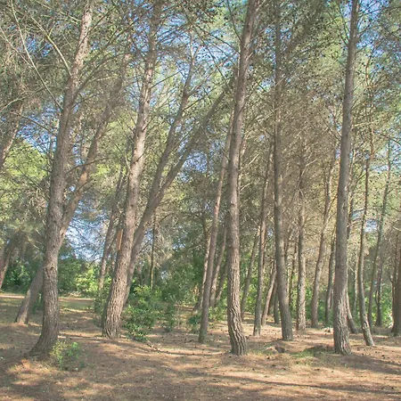Ad Un Passo Da Cisternino - Trulli Con Camino, Foresta E Bbq-2