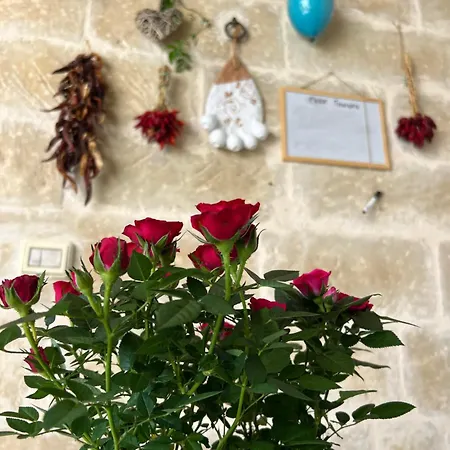 Suite Battisti 7-3