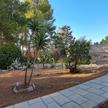 Masseria Artemisia-2
