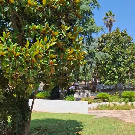 B&B Solepineta-3