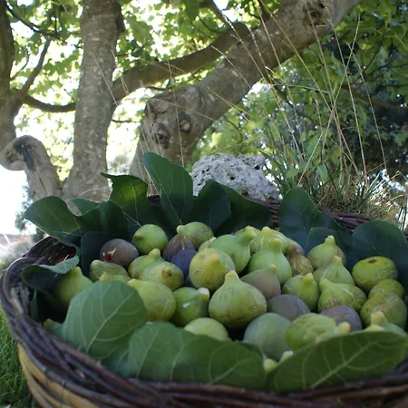 Masseria Chiancone Torricella-2