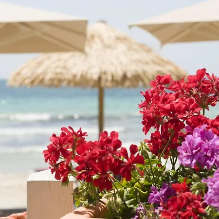 Conchiglia Azzurra Hotel&Beach-3